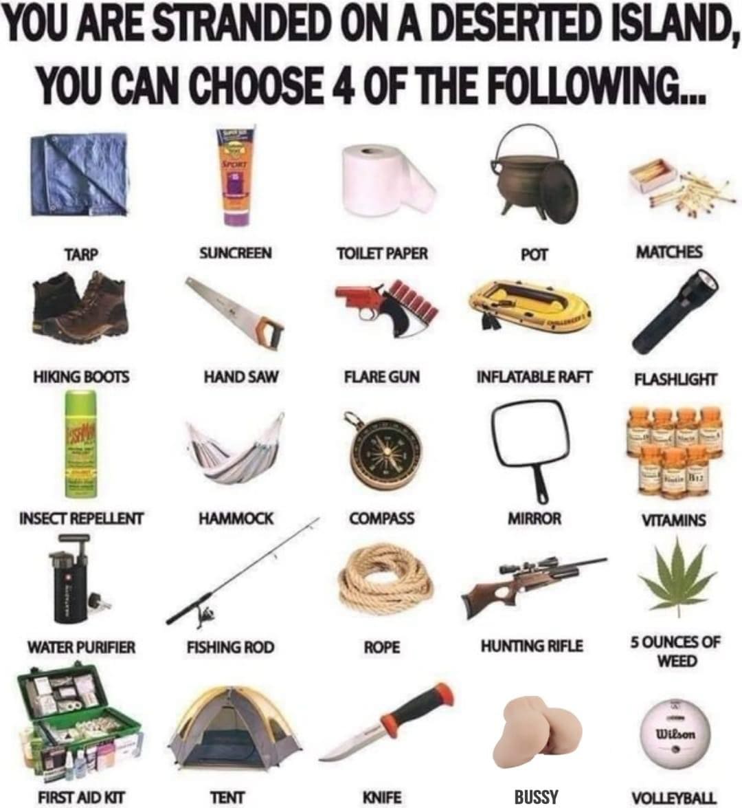 funny memes. YOU ARE STRANDED ON A DESERTED ISLAND, YOU CAN CHOOSE 4 OF THE FOLLOWING...