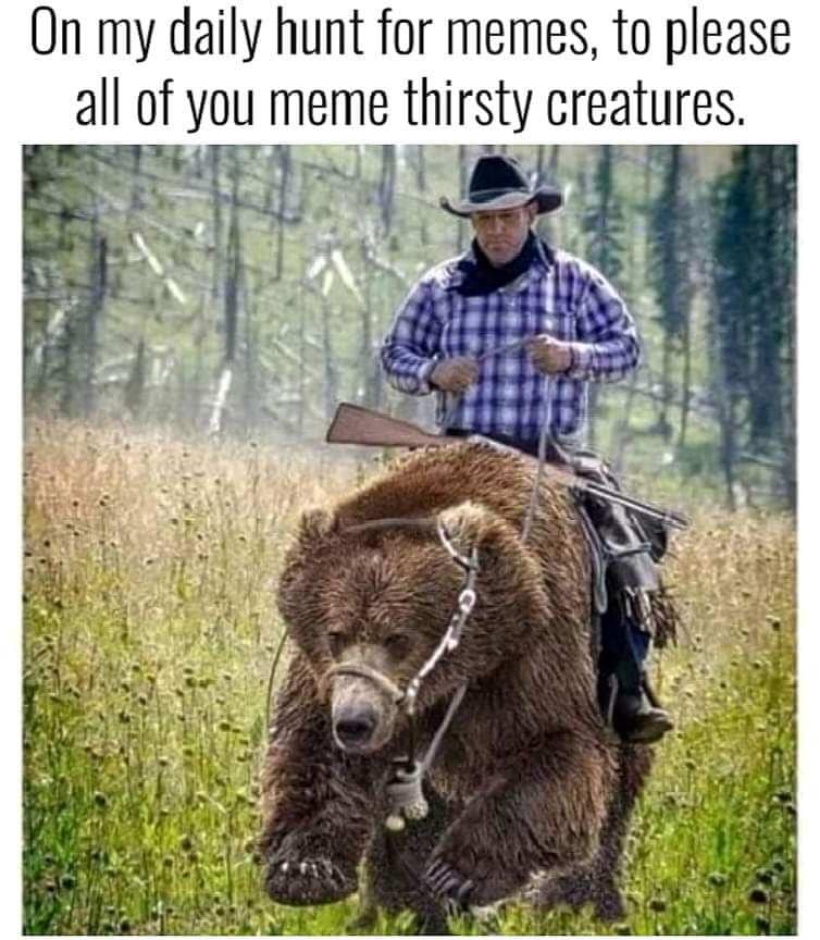 funny pics. On my daily hunt for memes, to please all of you meme thirsty creatures.
