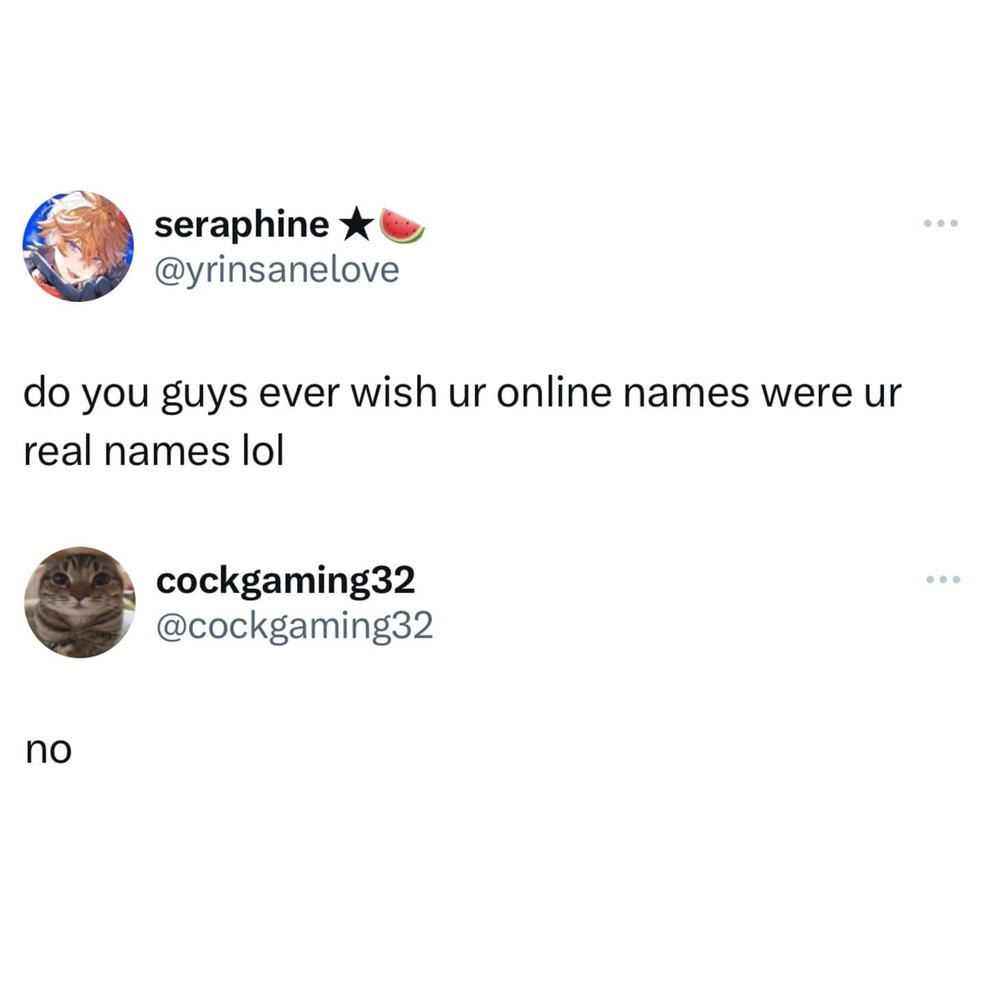 do you guys ever wish ur online names were ur real names lol