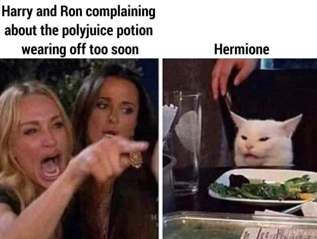 harry potter memes, wizarding world humor, magical memes, Hogwarts jokes, Potterverse memes, spellbinding humor, Dumbledore's laughter spells