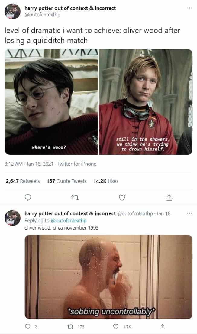 harry potter memes, wizarding world humor, magical memes, Hogwarts jokes, Potterverse memes, spellbinding humor, Dumbledore's laughter spells