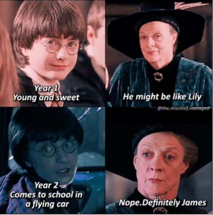 harry potter memes, wizarding world humor, magical memes, Hogwarts jokes, Potterverse memes, spellbinding humor, Dumbledore's laughter spells