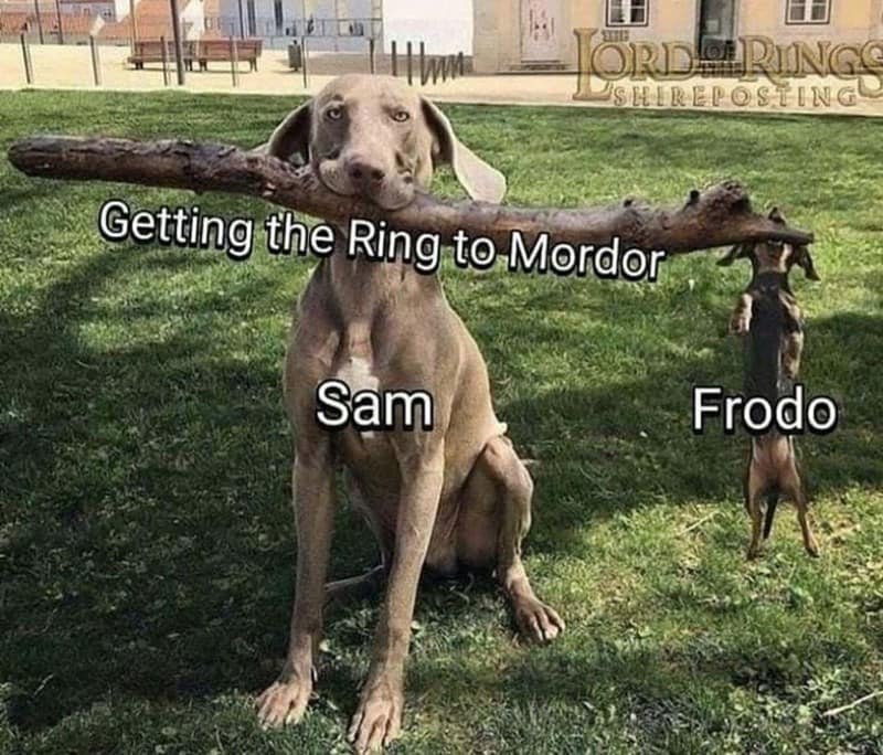 lotr memes, lord of the rings memes, Lord of the Rings jokes, Funny Middle-earth memes, Hobbit memes, Fantasy parody memes
