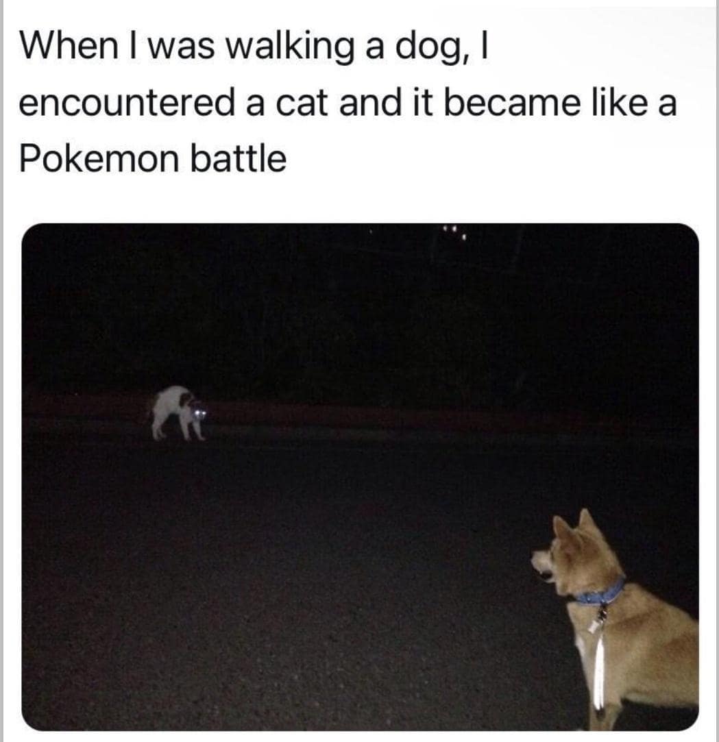 pokemon memes, pokemon game memes