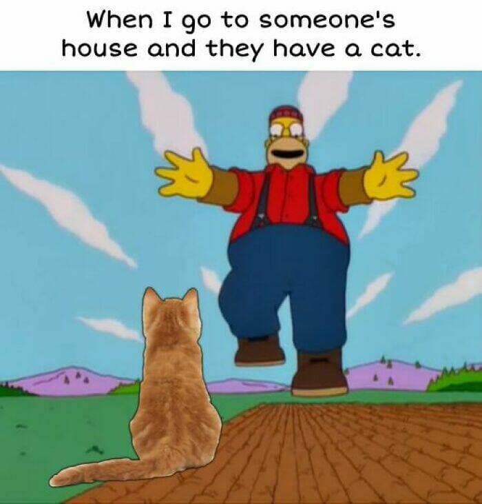 Simpsons memes, Classic TV memes, the simpsons memes