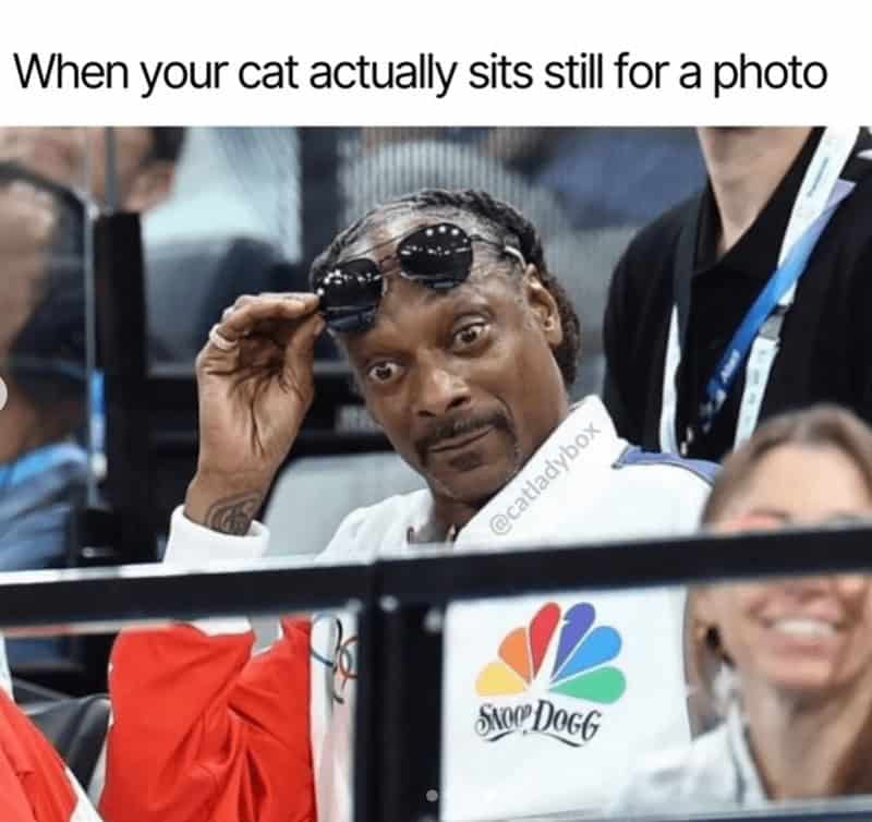 snoop dogg olympics memes, snoop dogg at the olympics