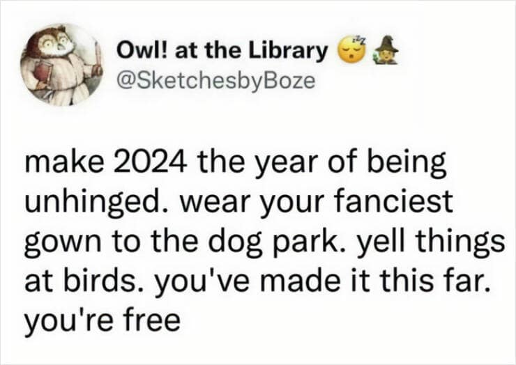 therapy memes. make 2024 the year of being unhinged. wear your fanciest gown to the dog park. yell things at birds. you've made it this far. you're free