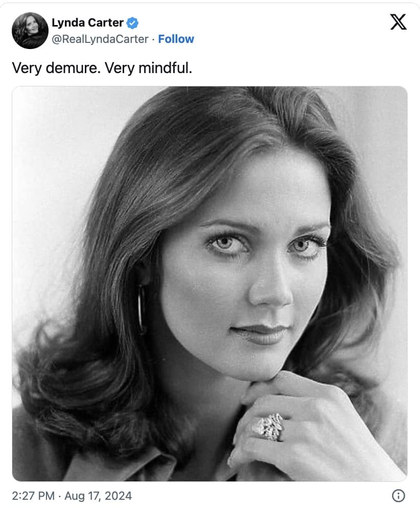 very demure very mindful memes, very demure memes, very mindful memes, very demure, very mindful, Social Media Memes, Beauty Influencer Memes, Viral Trend Memes