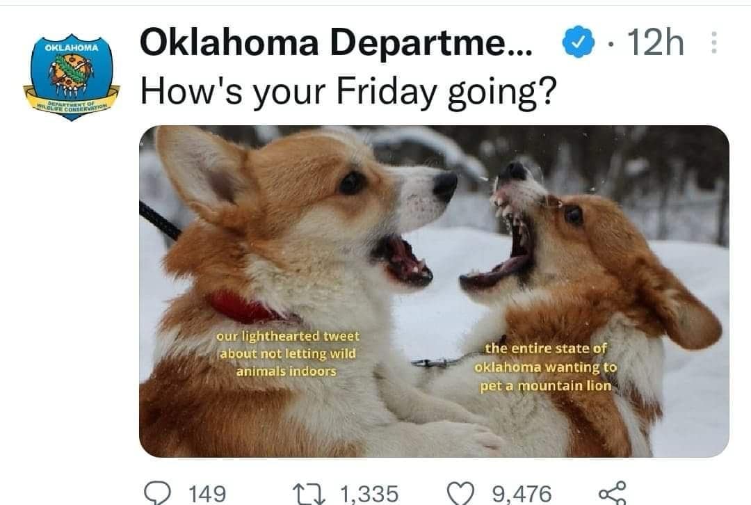 OKwildlifedept, okwildlifedept, funny Twitter threads, viral tweets