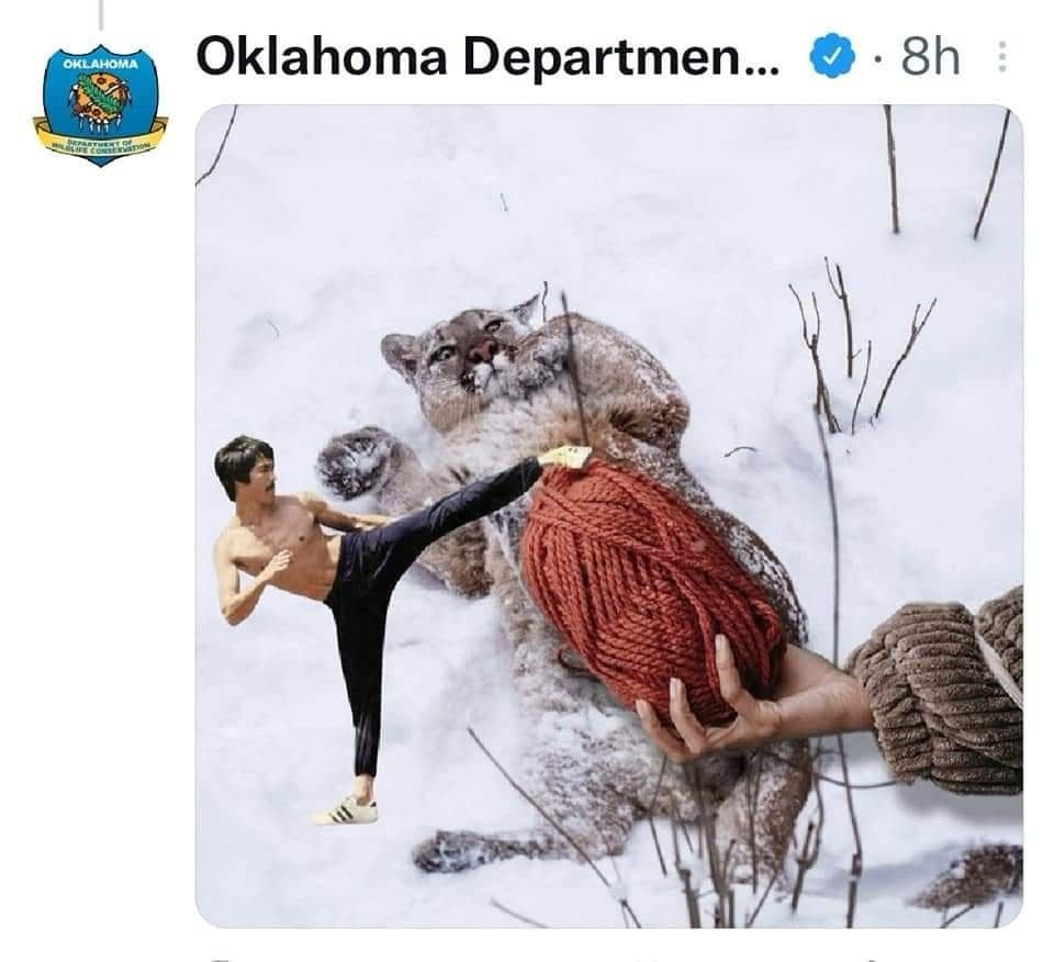 OKwildlifedept, okwildlifedept, funny Twitter threads, viral tweets