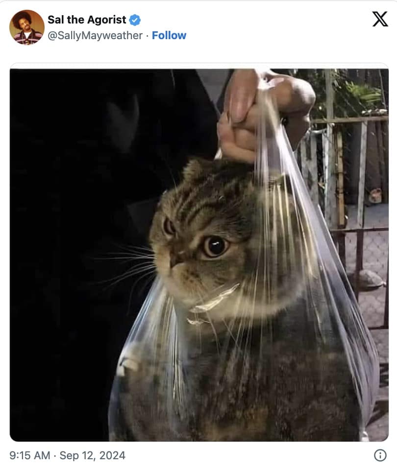 eating the dogs memes, eating the cats memes, Trump debate memes, political gaffe memes