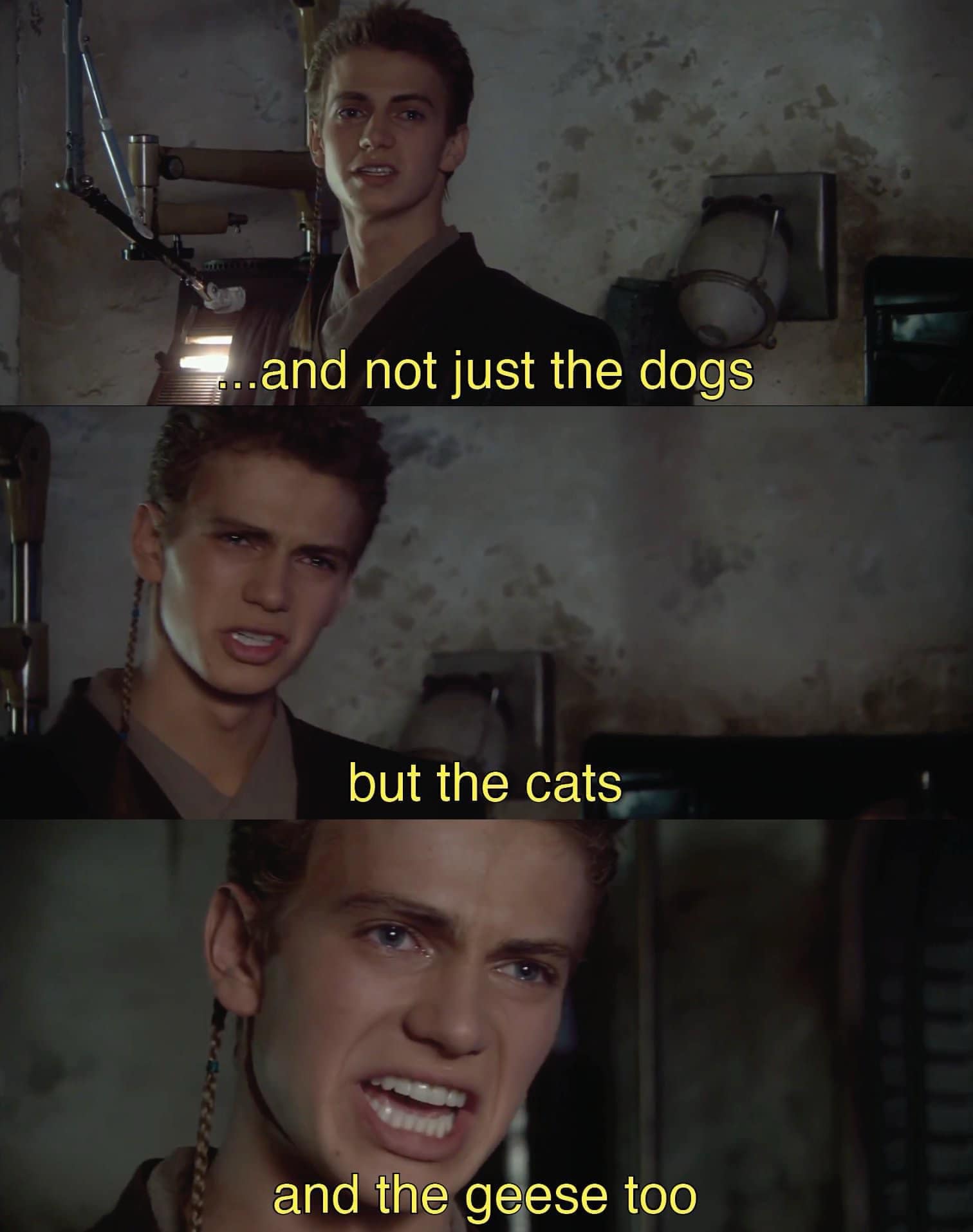 eating the dogs memes, eating the cats memes, Trump debate memes, political gaffe memes