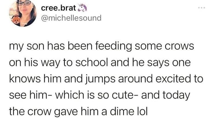 bird memes, birb memes, birdwatcher memes, bird jokes, avian humor, feathered memes, ornithological humor, bird-themed jokes