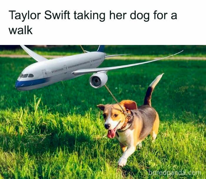 Taylor Swift taking her dog for a walk