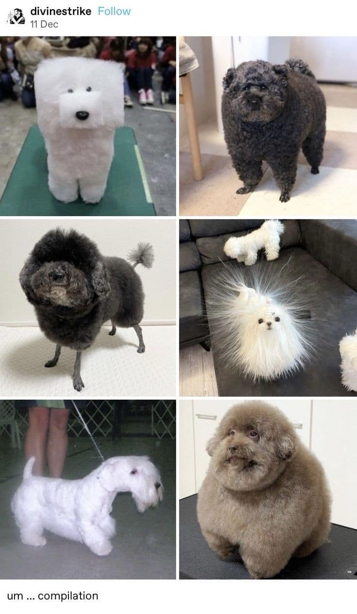 classic memes, vintage memes, viral tweets