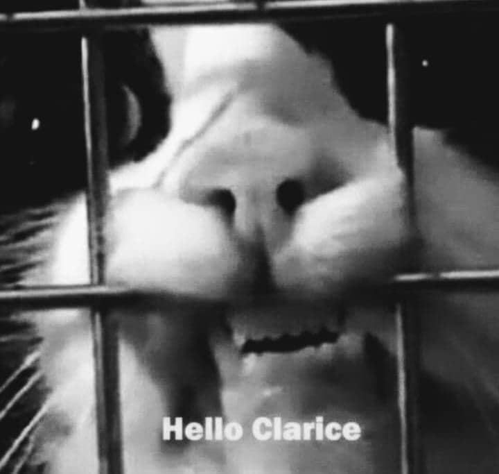 classic memes, vintage memes, viral tweets, best memes