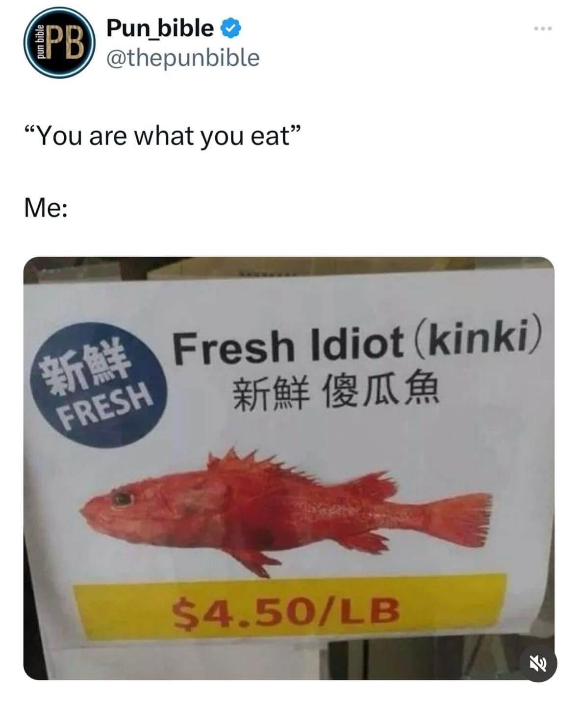 classic memes, vintage memes, viral tweets, vintage internet humor, internet nostalgia, viral sensations, old memes, retro internet jokes, digital throwbacks