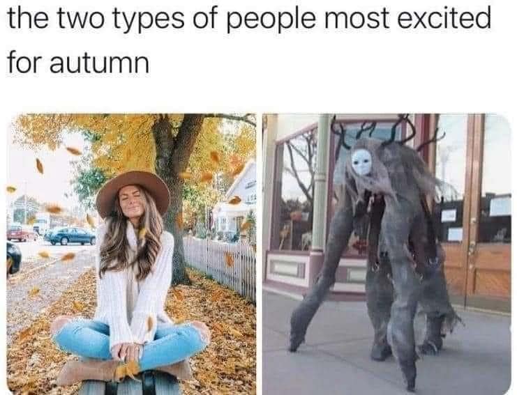 classic memes, vintage memes, viral tweets, vintage internet humor, internet nostalgia, viral sensations, old memes, retro internet jokes, digital throwbacks