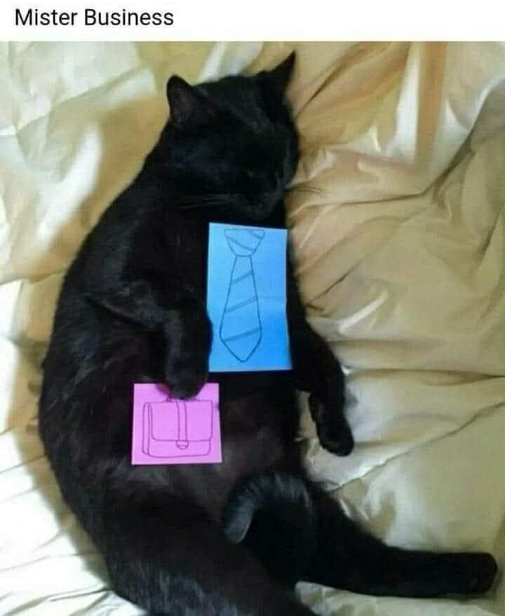 classic memes, vintage memes, viral tweets, Viral social media posts, Funny internet trends, Throwback content, Legendary online jokes, Nostalgic web culture, Timeless internet humor, best memes