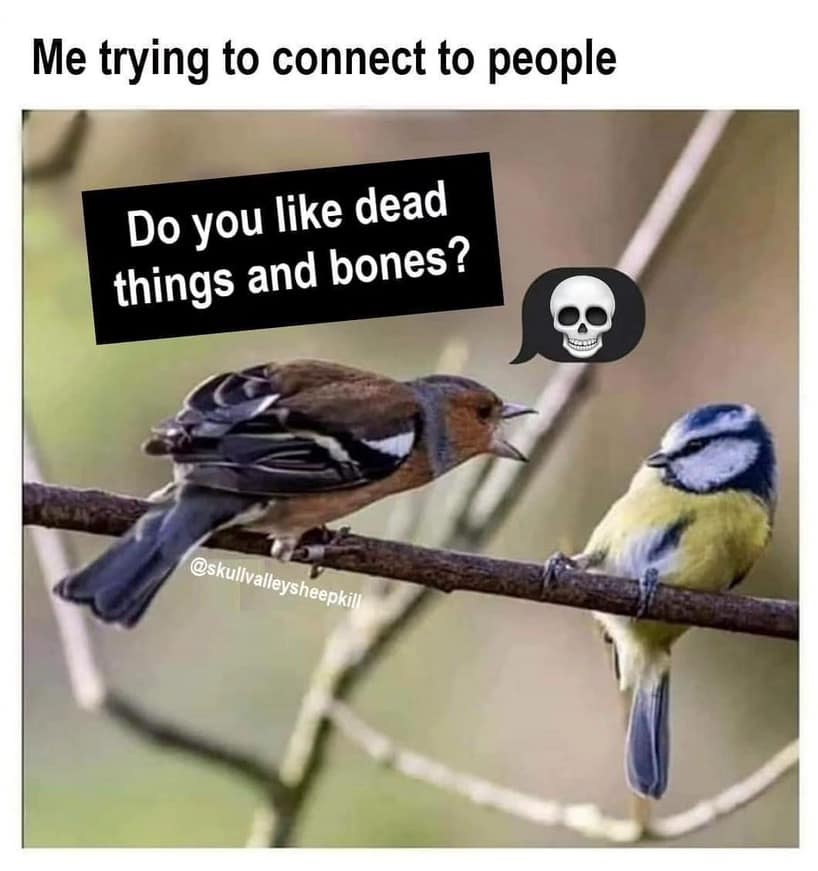 classic memes, vintage memes, viral tweets, Viral social media posts, Funny internet trends, Throwback content, Legendary online jokes, Nostalgic web culture, Timeless internet humor, best memes