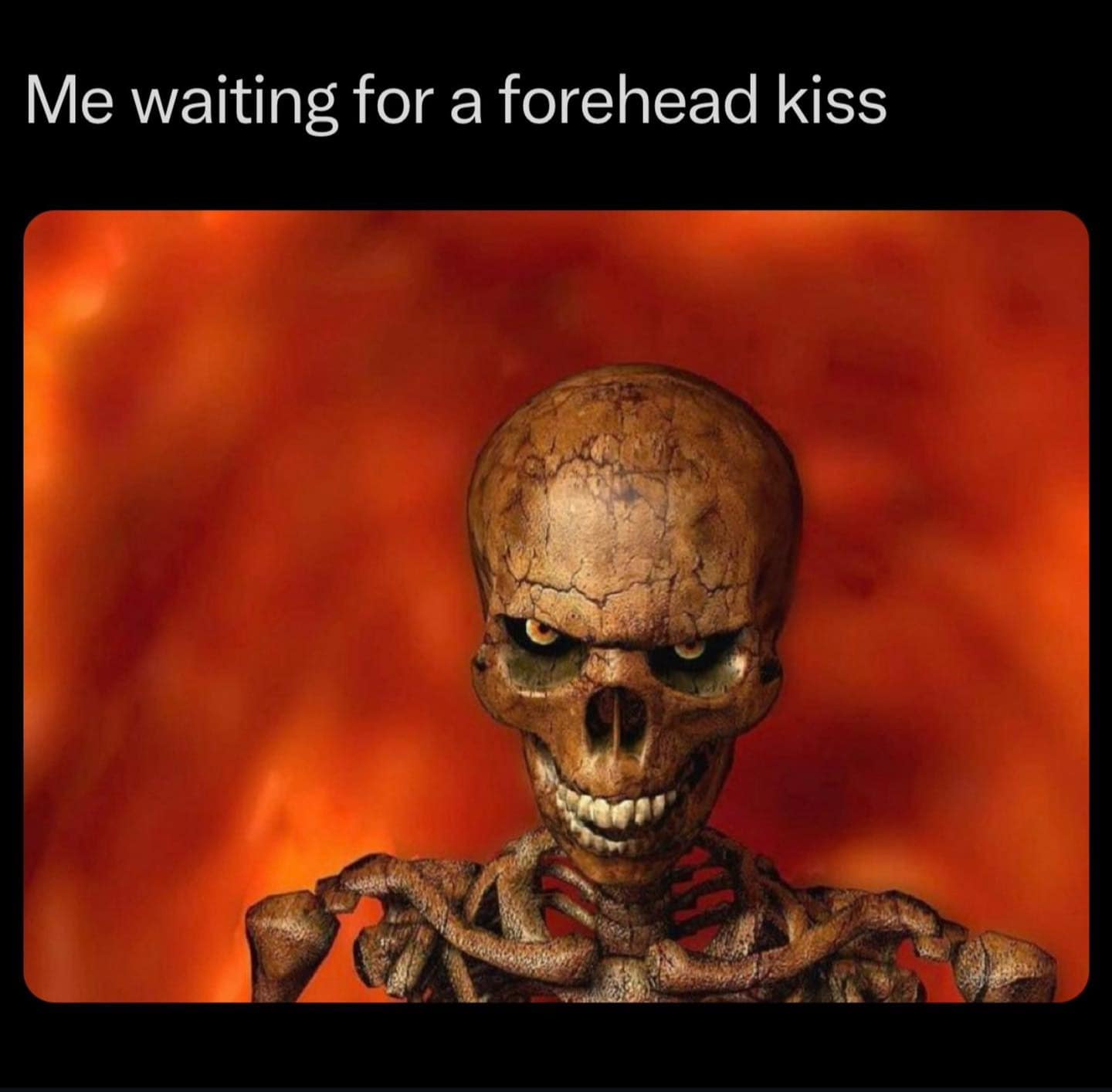 classic memes, vintage memes, viral tweets, old-school memes, nostalgic humor, vintage viral content