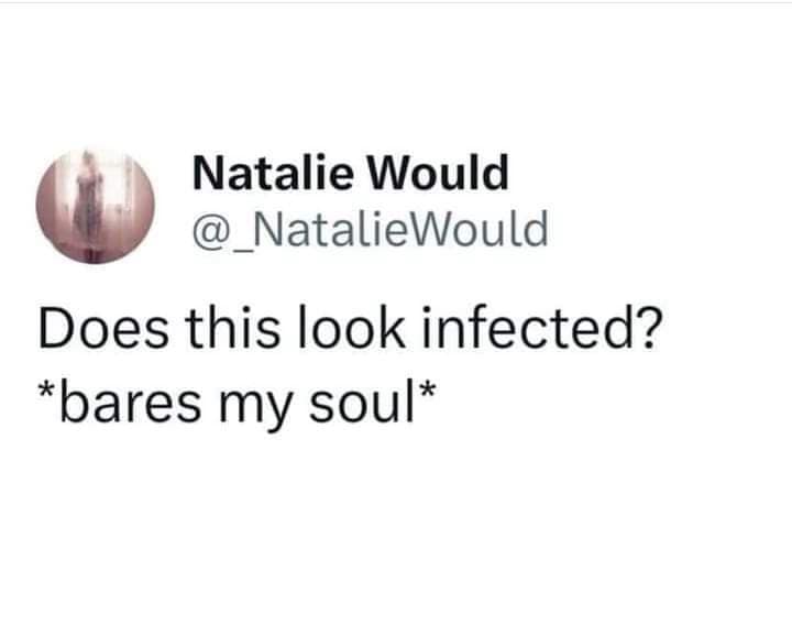 classic memes, vintage memes, viral tweets, timeless memes, internet classics, iconic memes, legendary tweets, evergreen memes