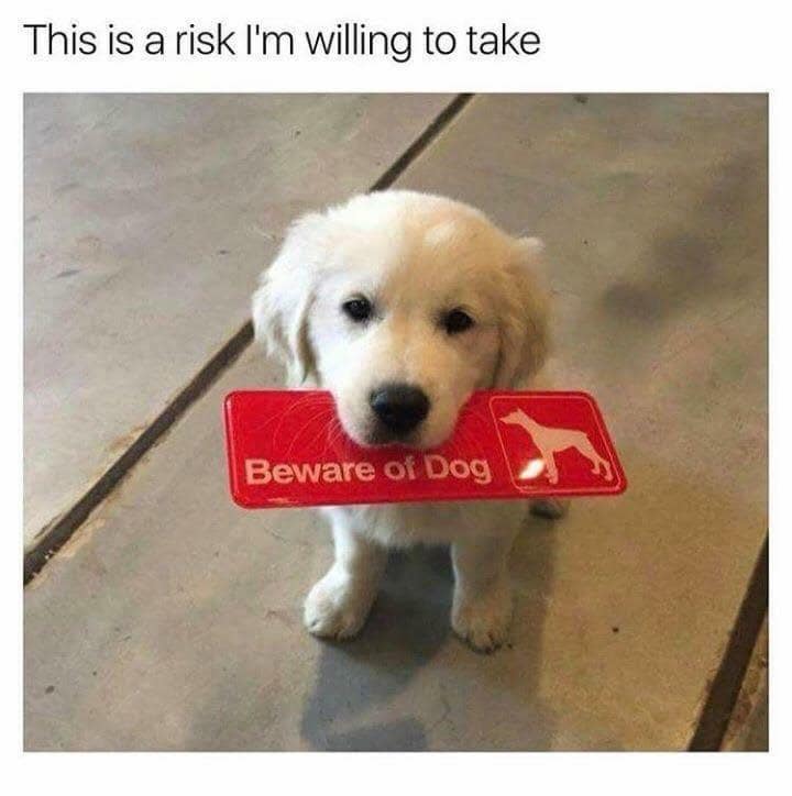 classic memes, vintage memes, viral tweets, Nostalgic memes, Throwback memes