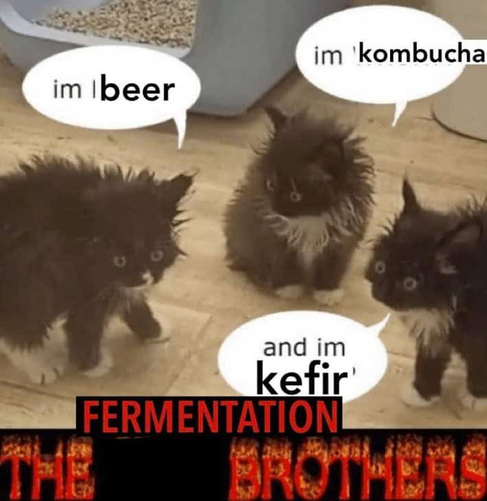 cooking memes, food memes, funny cooking memes, kitchen memes, food humor, funny chef memes, food jokes, culinary humor