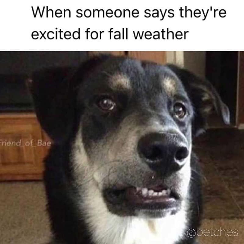 When someone says they're excited for fall weather