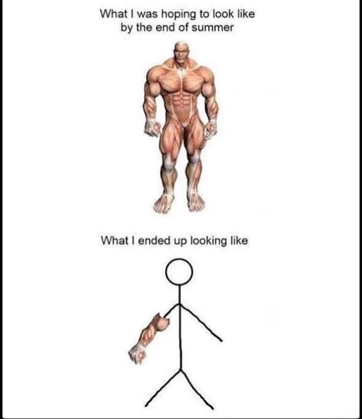 What I was hoping to look like by the end of summer What I ended up looking like