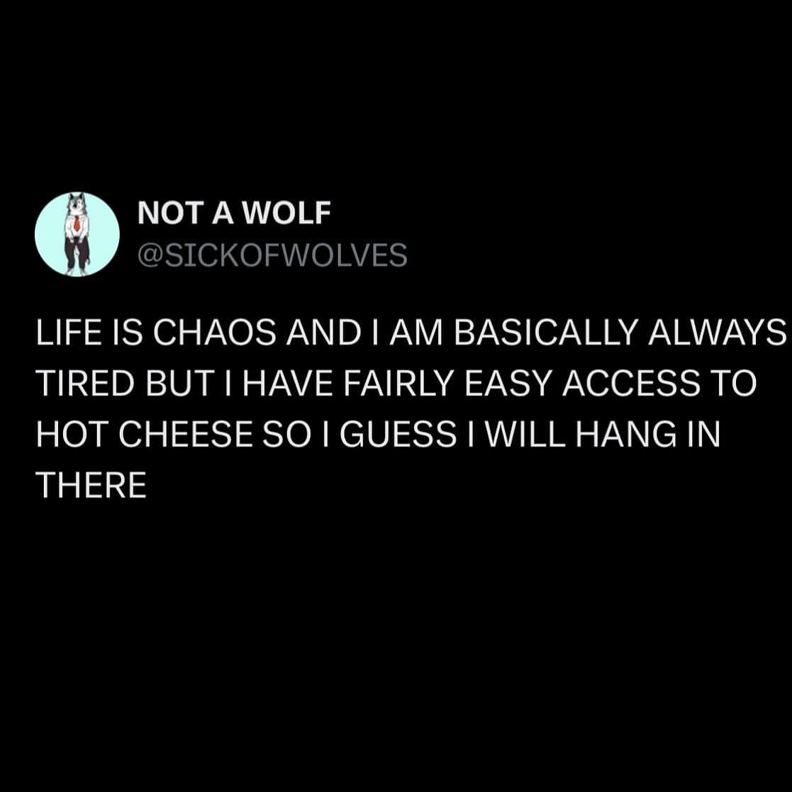 LIFE IS CHAOS AND I AM BASICALLY ALWAYS TIRED BUT I HAVE FAIRLY EASY ACCESS TO HOT CHEESE SO I GUESS I WILL HANG IN THERE