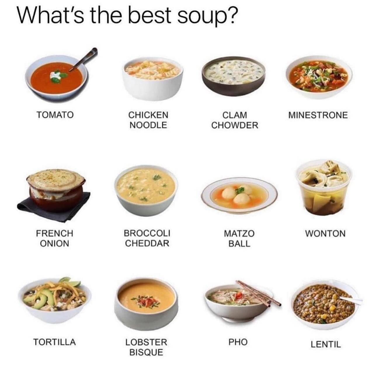 What's the best soup? TOMATO CHICKEN NOODLE CLAM CHOWDER