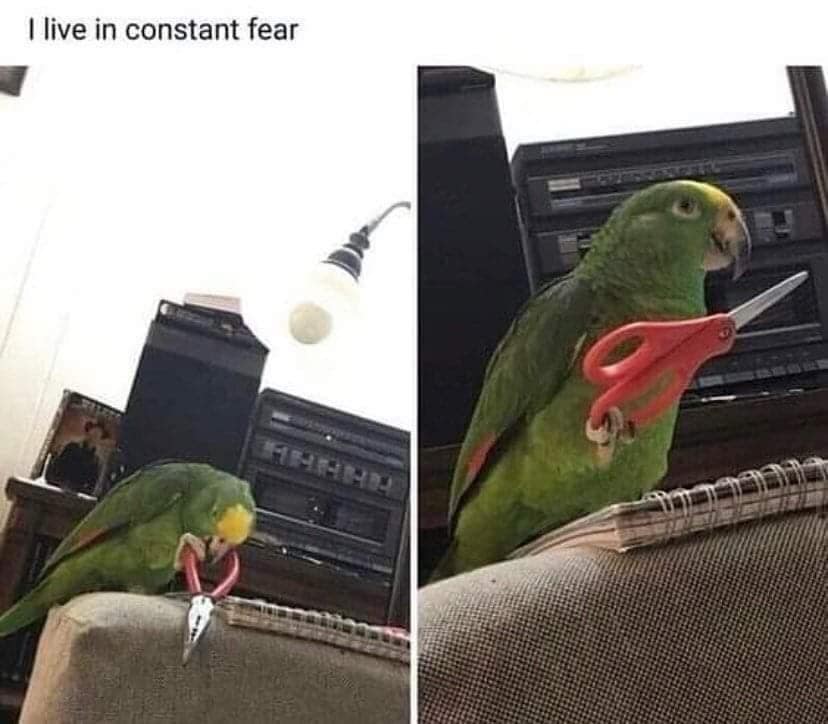 Ilive in constant fear