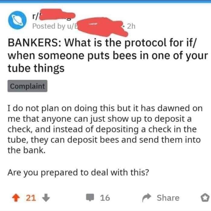 I do not plan on doing this but it has dawned on me that anyone can just show up to deposit a check, and instead of depositing a check in the tube, they can deposit bees and send them into the bank. Are you prepared to deal with this?