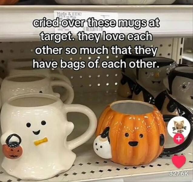 cried over these mugs at target. they love each other so much that they have bags of each other.