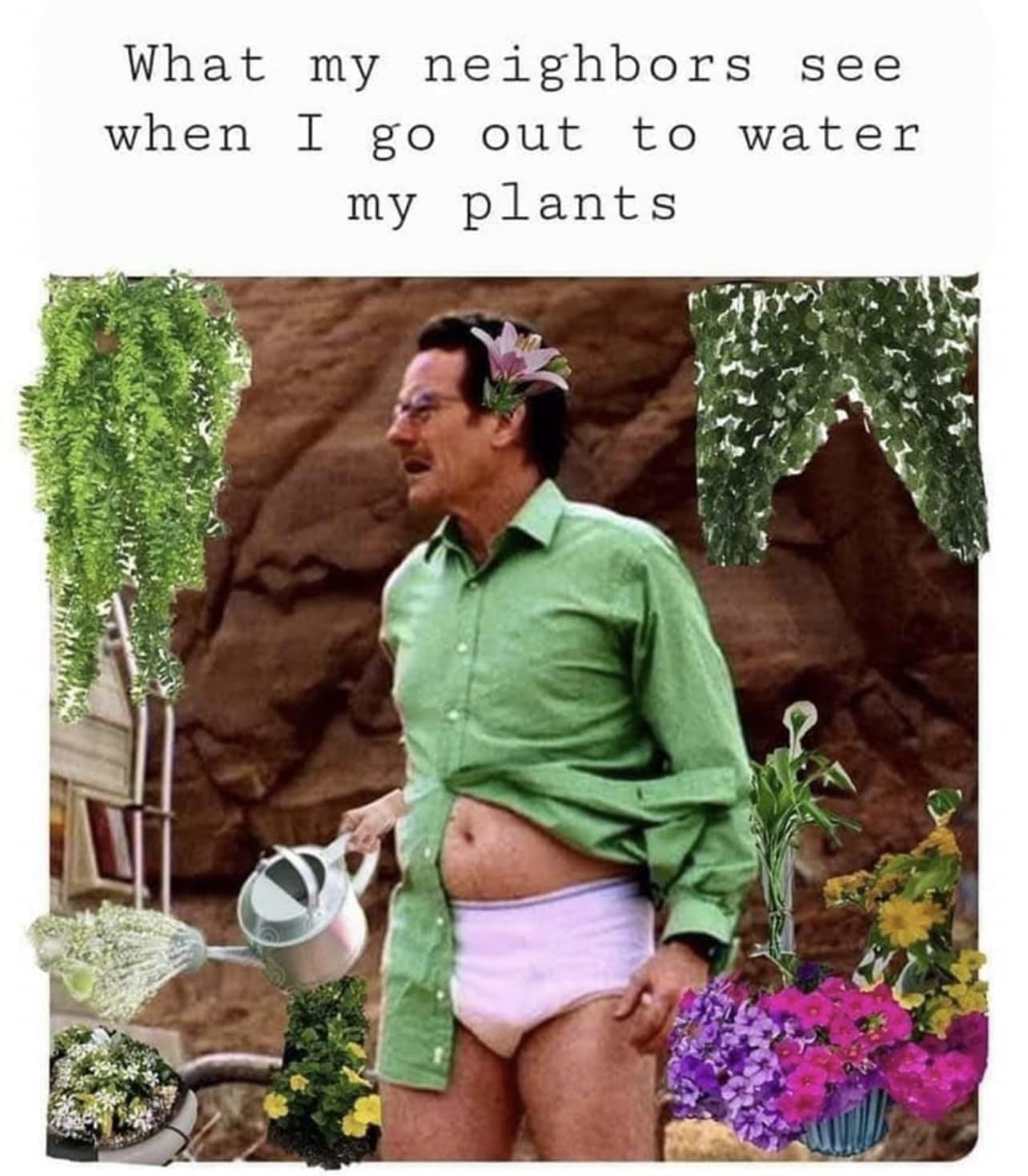 What my neighbors see when I go out to water my plants