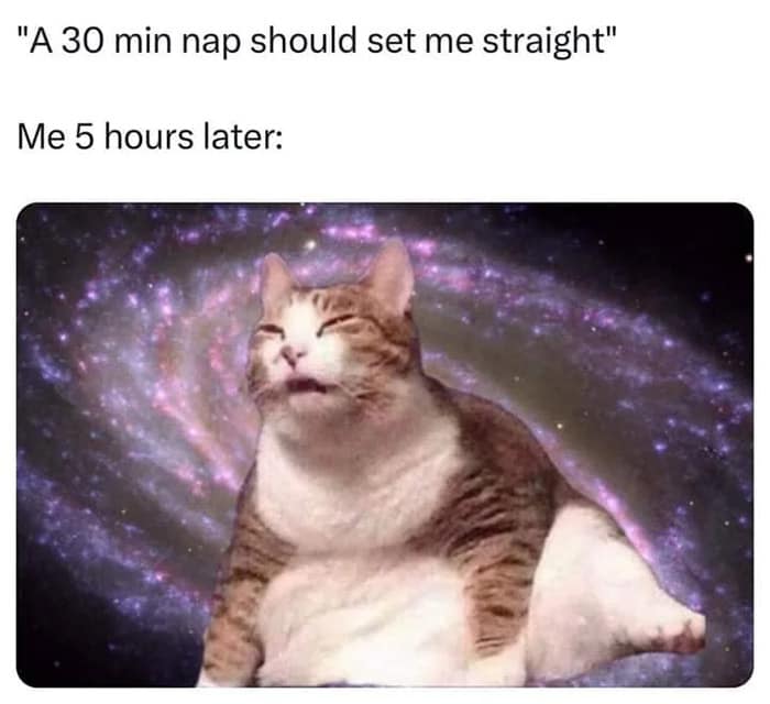 "A 30 min nap should set me straight" Me 5 hours later: