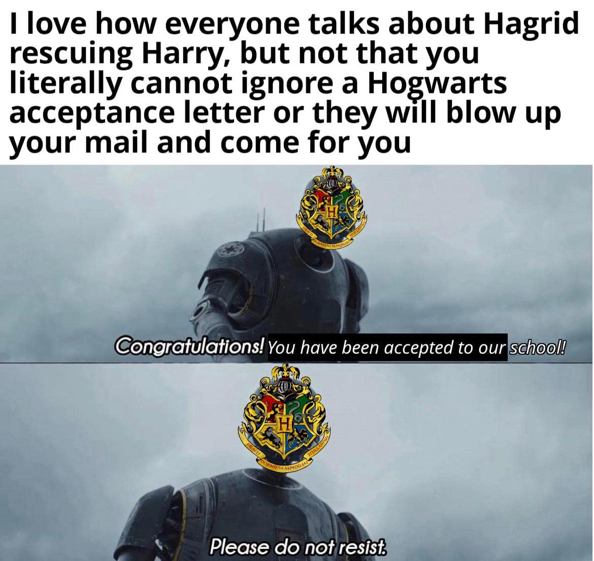 Harry Potter memes, funny Harry Potter memes, Hogwarts memes, Potterhead memes, wizarding world jokes