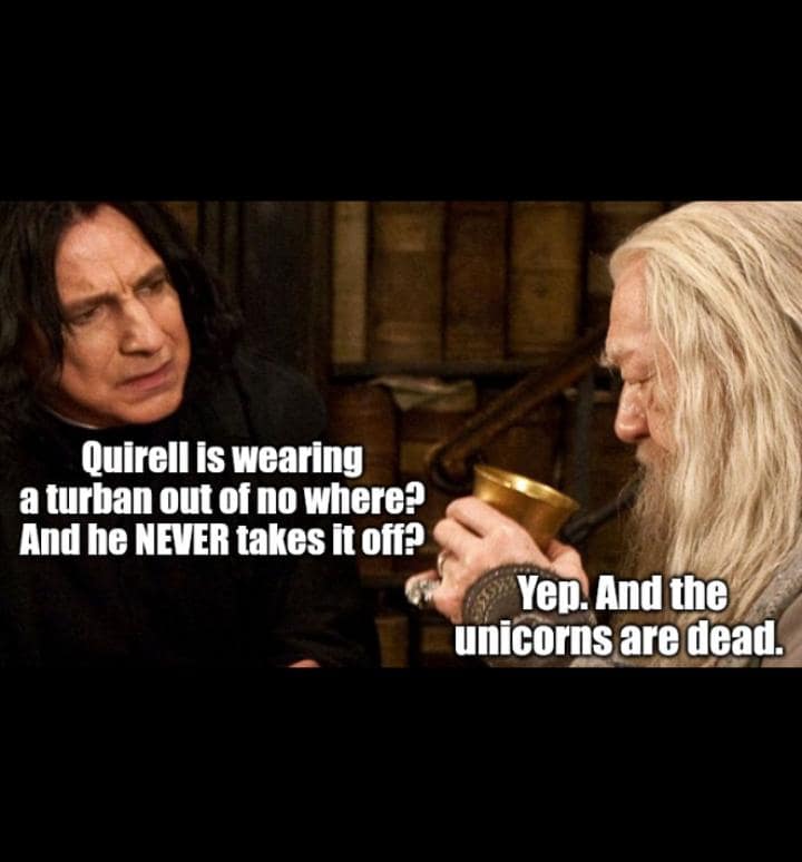 Harry Potter memes, funny Harry Potter memes, Hogwarts memes, Potterhead memes, wizarding world jokes