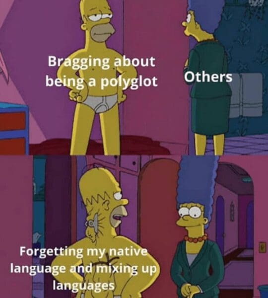 Language Memes: 40 Memes For The Multilinguals