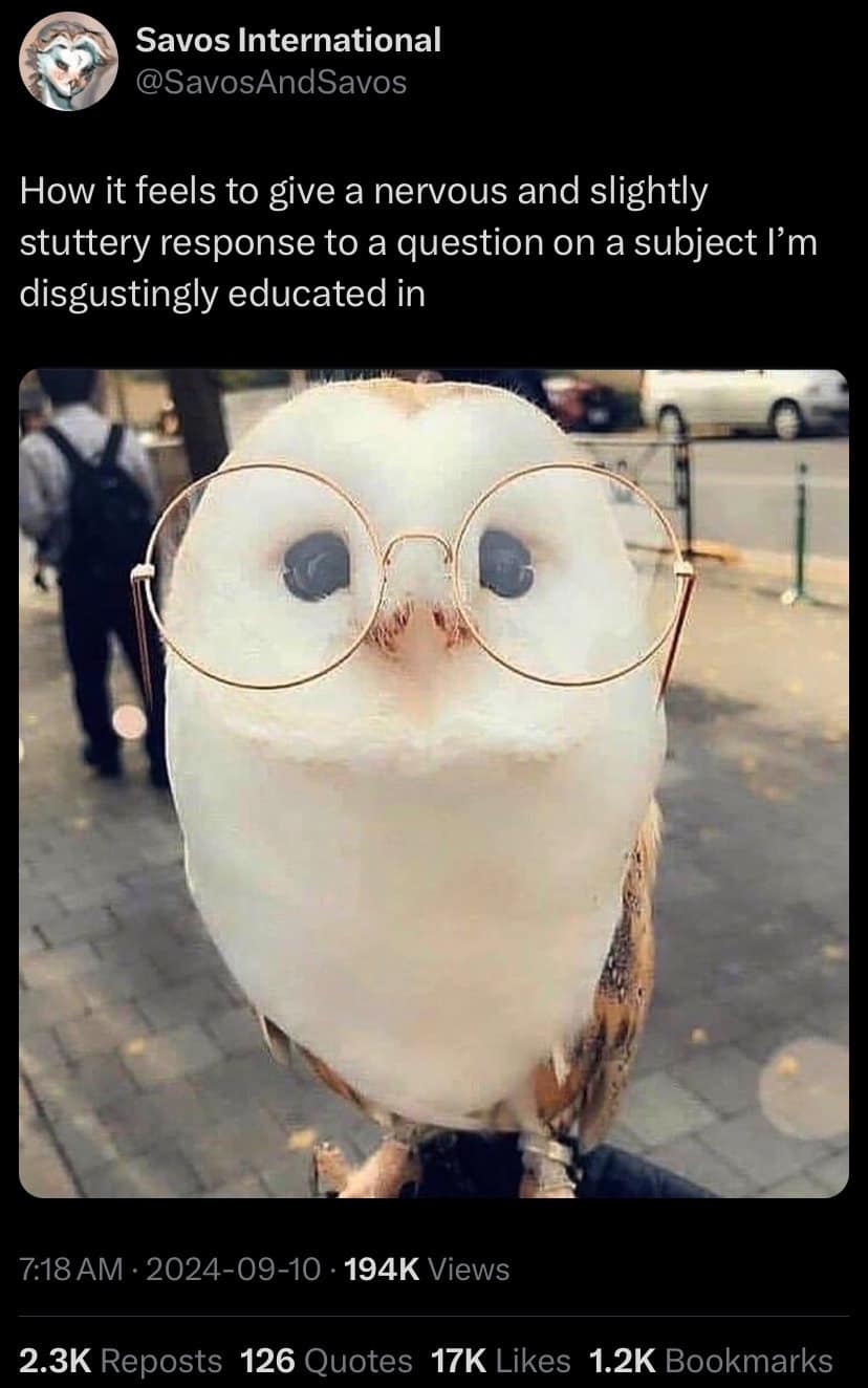 meme dump, funny memes, hilarious memes, best memes, daily memes, funny pictures, funny photos