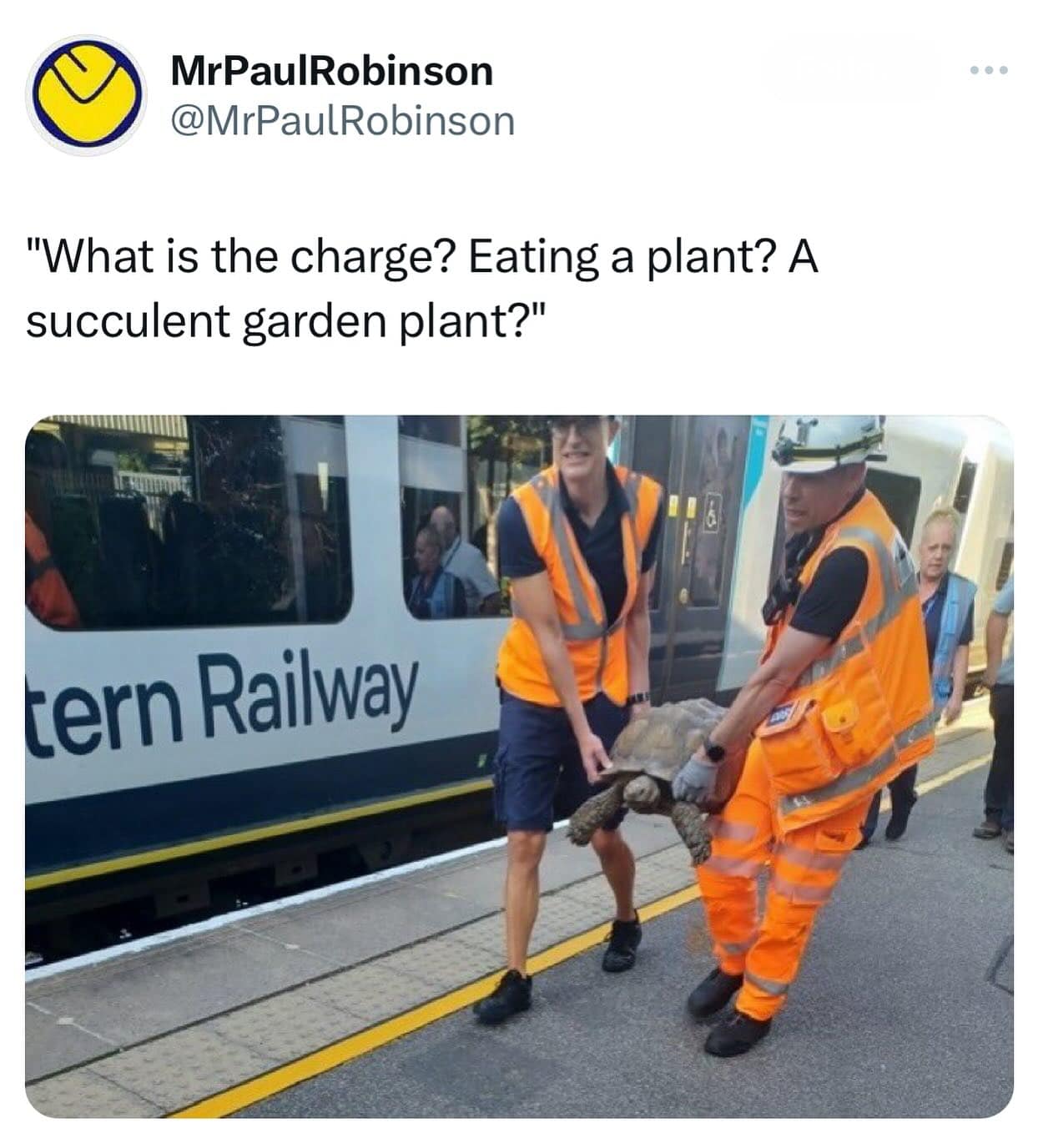 classic memes, funny memes, hilarious memes, trending memes, comical memes, amusing memes, laugh-out-loud memes, side-splitting memes, popular memes, viral memes