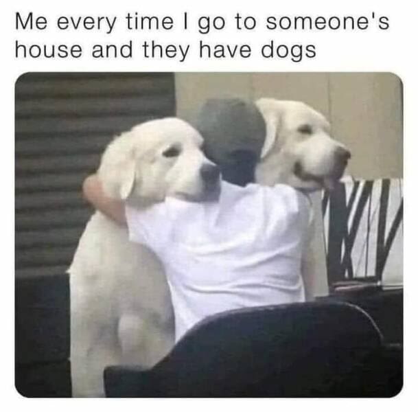 meme dump, funny memes, hilarious memes, weekend memes, Saturday memes, lazy day memes, everyday memes, life memes