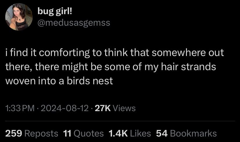 meme dump, funny memes, hilarious memes, weekend memes, Saturday memes, lazy day memes, everyday memes, life memes