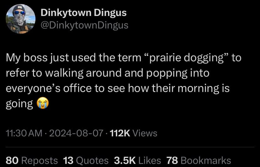 meme dump, funny memes, hilarious memes, weekly memes, Sunday meme madness, laugh break memes, meme collection, meme roundup, meme bonanza