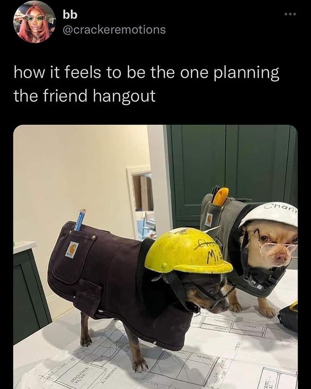 meme dump, funny memes, hilarious memes, lazy Sunday memes, humorous memes, meme collection, laughter repository, chuckle compilation, meme extravaganza