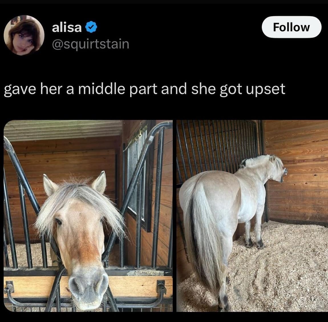 meme dump, funny memes, hilarious memes, lazy Sunday memes, humorous memes, meme collection, laughter repository, chuckle compilation, meme extravaganza