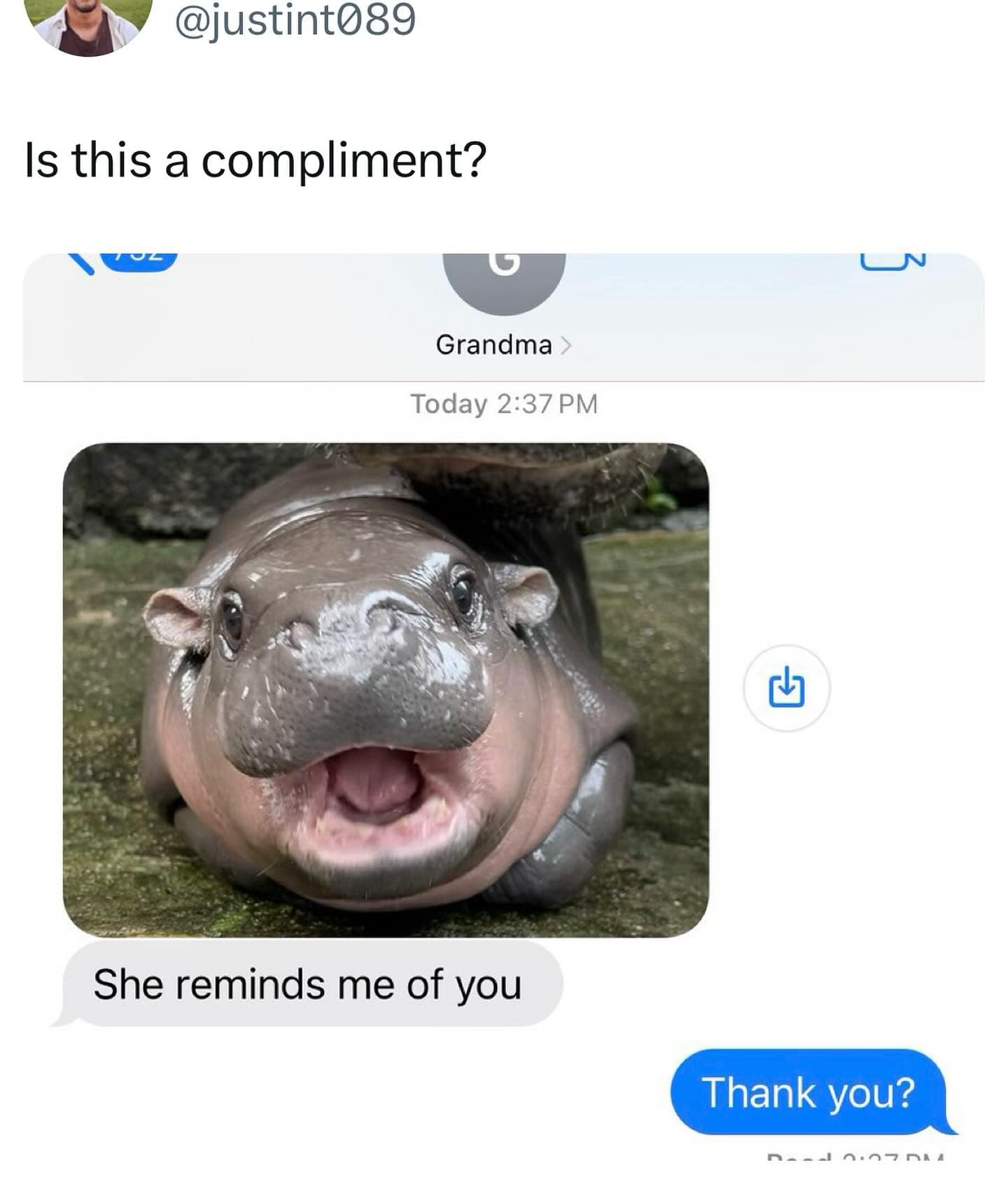 meme dump, funny memes, hilarious memes, viral memes, viral internet jokes, meme collection, trending internet humor, funny viral posts