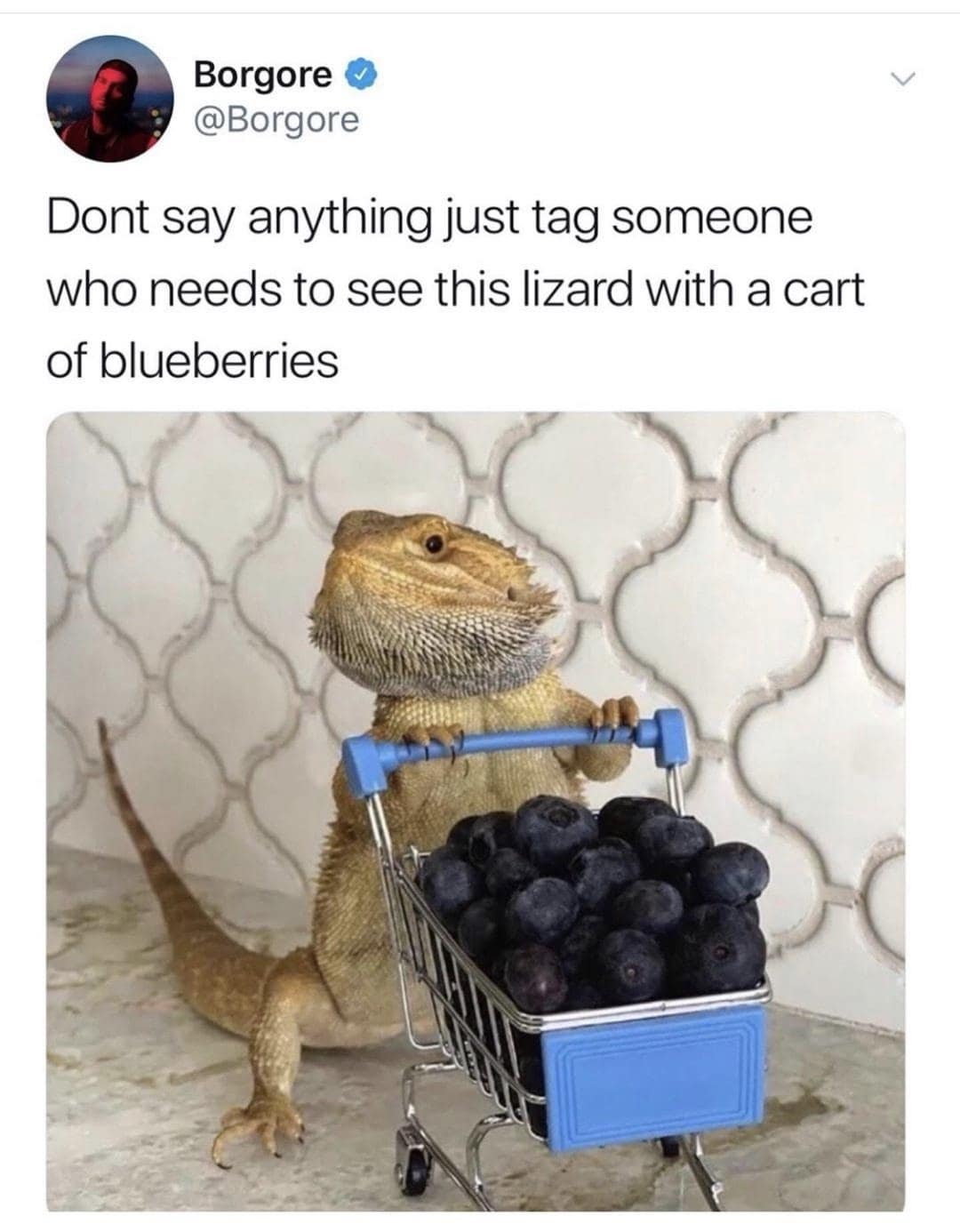 meme dump, funny memes, hilarious memes, viral memes, viral internet jokes, meme collection, trending internet humor, funny viral posts