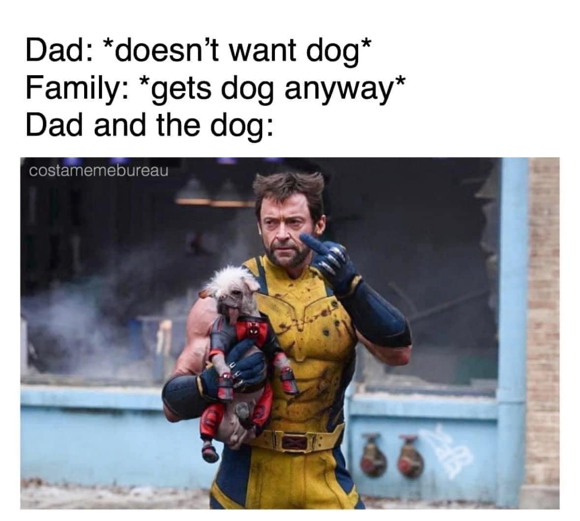 meme dump, funny memes, hilarious memes, weekly memes, Sunday meme madness, laugh break memes, meme collection, meme roundup, meme bonanza